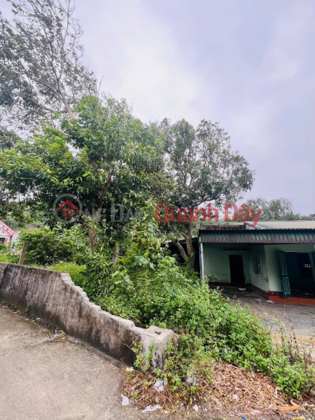 đ 15 Billion Land for sale in Co To town, Quang Ninh province, 781.4m2, fully residential land, suitable for building a homestay or resort.