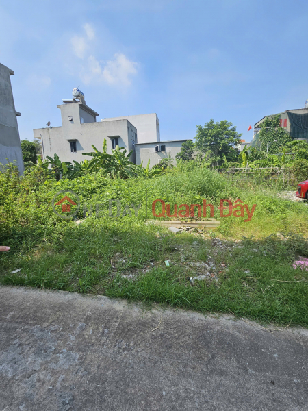 LAND FOR SALE IN URBAN AREA, AREA 90M2, FRONTAGE 5M2 - GOOD PROFIT POTENTIAL, PRICE ONLY ABOVE 4 BILLION., Vietnam | Sales đ 4.7 Billion