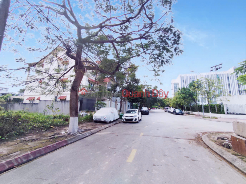 Land for sale in Sao Do Villa area - 200m² - 10m frontage - 12m road - right near Cau Rao Bridge. Sales Listings