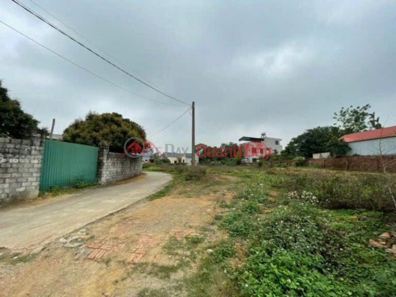 OWNER SELLS 80.9M2 LAND IN DONG SON-CHUONG MY-HANOI Sales Listings