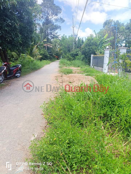 Property Search Vietnam | OneDay | | Sales Listings FOR SALE TAN Nghia Commune, Dong Thap District, Dong Thap Province