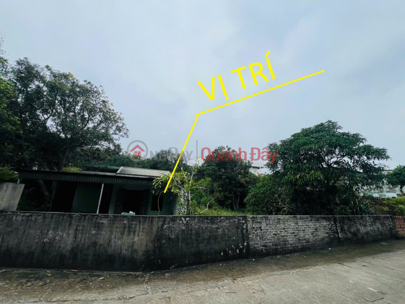 Property Search Vietnam | OneDay | Residential, Sales Listings | Land for sale in Co To town, Quang Ninh province, 781.4m2, fully residential land, suitable for building a homestay or resort.