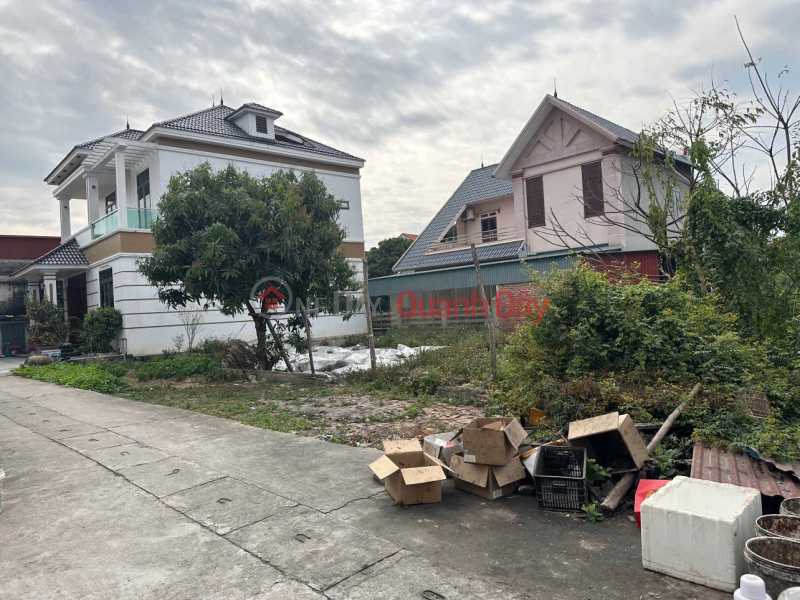 Land for sale in Thanh Lam, Me Linh, Hanoi. Near Me Linh Flower and Fruit Market. The largest wholesale market in the North. | Vietnam, Sales đ 2.4 Billion