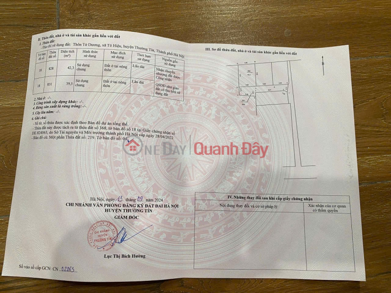 Beautiful land - good price Owner needs to quickly sell a beautiful plot of land in Thuong Tin district, Hanoi City Sales Listings