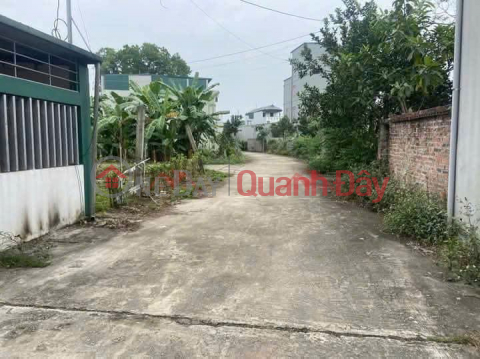 OWNER NEEDS TO SELL 80M2 LAND LOT AT THUY XUAN TIEN-CHUONG MY-HANOI _0
