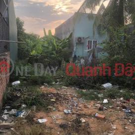 PRIME LAND – GREAT PRICE – URGENT SALE in An Hoa Commune (formerly Bien Hoa City),Dong Nai Province _0