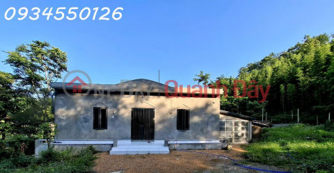 Chính chủ cần bán nhà vườn, trang trại xã Mường Bi, Phú Thọ, DT 953,8m2, giá 1,85 tỷ _0