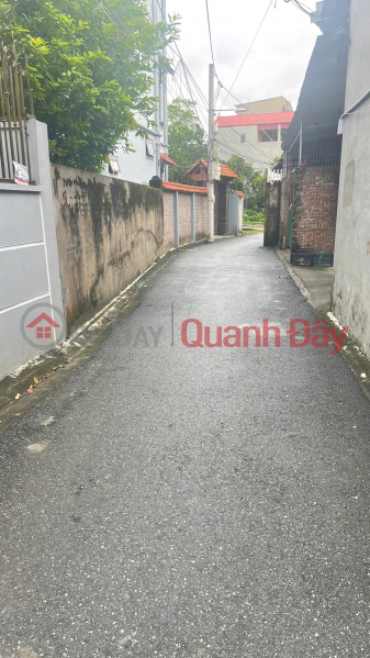 OWNER NEEDS TO SELL 52 SQM OF DA TON, CAR ACCESS, PRICE 4.1 BILLION, CONTACT 0985865658, Vietnam Sales, đ 4.1 Billion