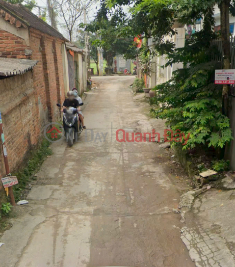 Cơ Hội Đầu Tư Sinh Lời Cao! Bán Lô Đất Vàng Tại Quang Minh - Mê Linh, Cách Kcn Chỉ 350m _0