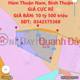 OWNER NEEDS TO QUICKLY SELL 5,347.9m2 OF LAND IN Thuan Quy, Ham Thuan Nam, Binh Thuan AT EXTREMELY CHEAP PRICE _0