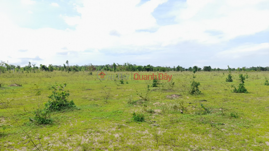 Property Search Vietnam | OneDay | Residential | Sales Listings | BEAUTIFUL LAND - GOOD PRICE Owner For Sale Land Lot Prime Location In Hong Liem Commune, Ham Thuan Bac District