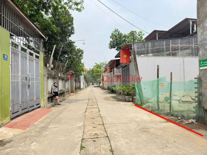 Property Search Vietnam | OneDay | Residential, Sales Listings Selling 100m2 of land in Hoang Kim, Me Linh, Hanoi. Clear road, car access, frontage for business