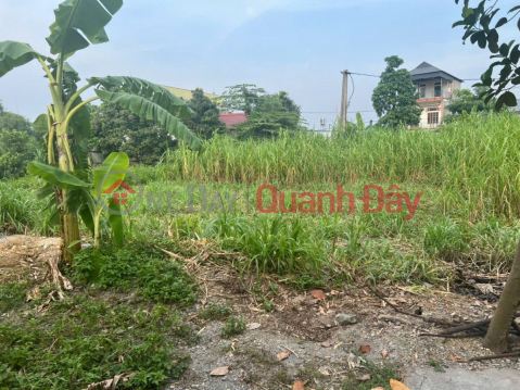 CHÍNH CHỦ BÁN LÔ ĐẤT ĐẸP 60,2M TẠI THỦY XUÂN TIÊN-CHƯƠNG MỸ-HÀ NỘI _0