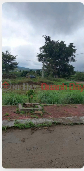 LAND FOR SALE NEAR THONG NHAT STREET, NEAR PHU HOI INDUSTRIAL PARK - DUC TRONG - LAM DONG Sales Listings
