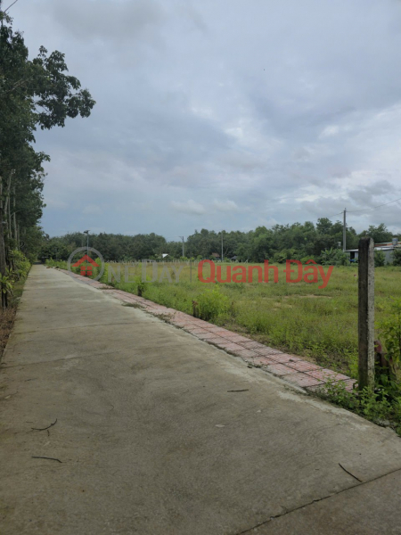 Beautiful Square Land HXH 95m2 (ONT) – Tra Vo - Clay (QL22B) TN, Vietnam | Sales đ 650 Million