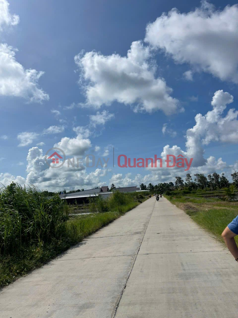 OWNER NEEDS TO SELL Rice Field Land Near Cai Lon Canal, Tac Cau, Kien Giang _0