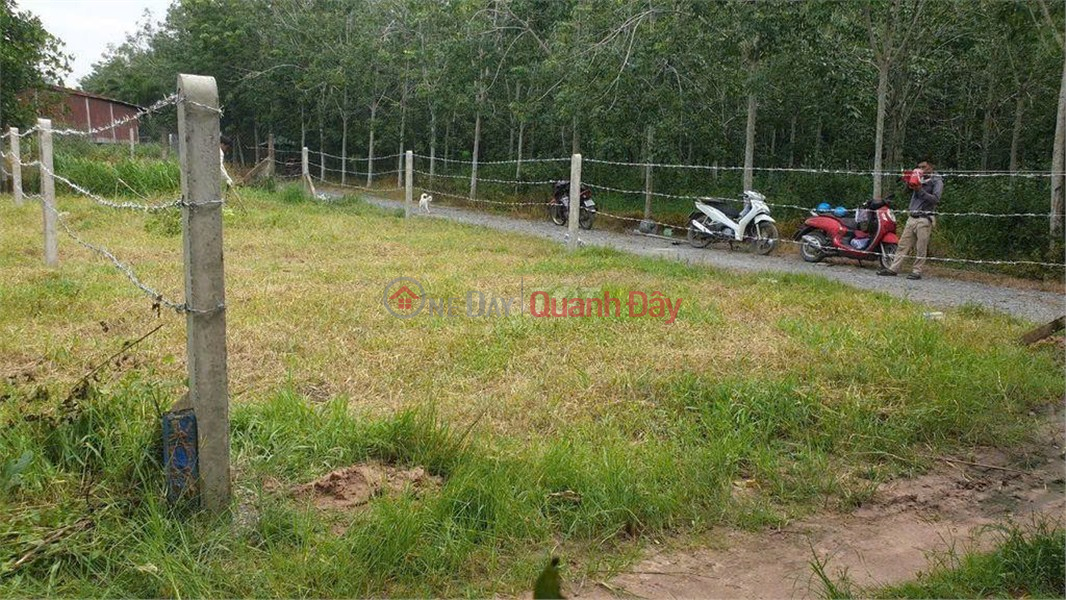 OWNER'S LAND - GOOD PRICE - Tra Vo, Dat Set, Thanh Duc Commune, Go Dau District, Tay Ninh Vietnam Sales | đ 500 Million