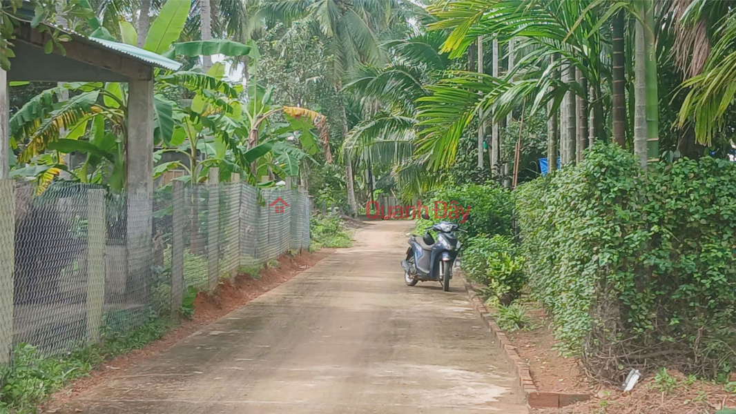 Property Search Vietnam | OneDay | Nhà ở | Niêm yết bán ĐẤT ĐẸP – GIÁ TỐT –CHÍNH CHỦ CẦN BÁN ĐẤT đường trần tôn thất, hoài xuân, thị xã hoài nhơn, bình định