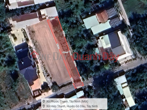 Đất SHR Nở hậu HXH 438m2 – Hiệp Thạnh Tây Ninh S _0