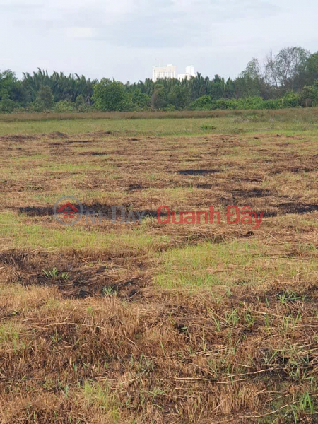ĐẤT ĐẸP - ĐẦU TƯ SINH LỜI - Chính Chủ Kẹt Tiền Cần Bán Gấp Lô Đất tại Nhơn Trạch, Đồng Nai | Việt Nam Bán đ 22 tỷ