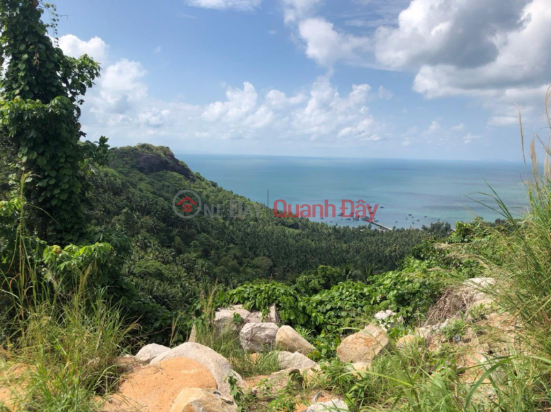 Property Search Vietnam | OneDay | Residential | Sales Listings PRIME LAND - GOOD PRICE - Need to Sell Quickly in Lai Son Commune, Kien Hai, Kien Giang