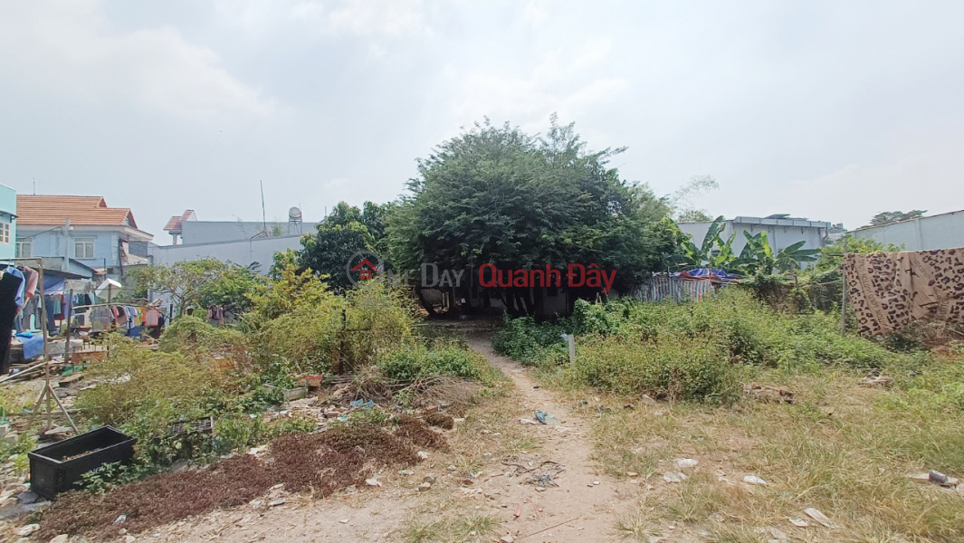 Selling residential land on street TL43, Binh Chieu ward, area: 501m2, width 29m, HXH, price 12 billion. | Vietnam, Sales | ₫ 12 Billion