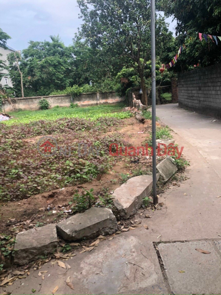 Property Search Vietnam | OneDay | Residential, Sales Listings, Phuong Dong Phuong Chau only 900 million \\/ plot of land, area 38.7m2, red book ready for safe storage right at Phuong Dong market, school
