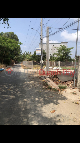 Owner - NEED TO SELL QUICKLY Land Frontage On Asphalt Road In Binh Duc Ward, Long Xuyen, An Giang Sales Listings