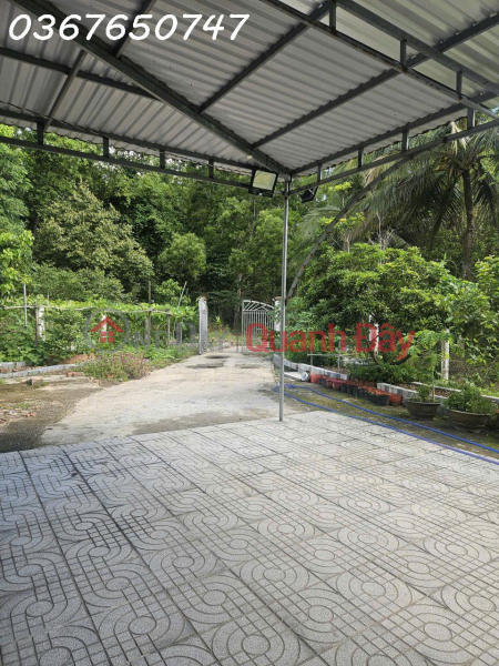 Property Search Vietnam | OneDay | Nhà ở Niêm yết bán | Giảm ngay 200 triệu Bán nhà và đất tại Suối Dá Dương Tơ, Phú Quốc, 508 m2 giá chỉ 3.5 tỷ