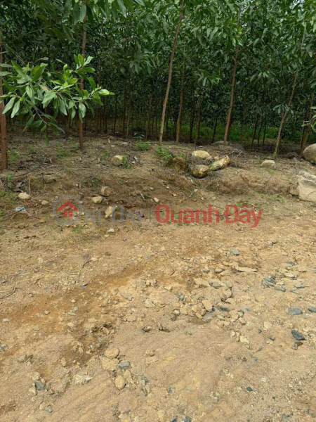 BÁN LÔ ĐẤT GIÁ CHỈ 180tr Dt:532,6m2 ( ngang 9m) Niêm yết bán