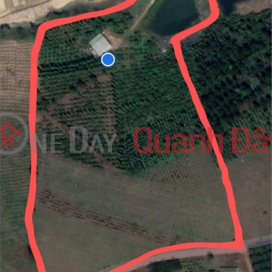 BEAUTIFUL LAND - GOOD PRICE - Land Lot For Sale Prime Location In Dak NIA - GIA GIA CITY - Dak Ngo _0