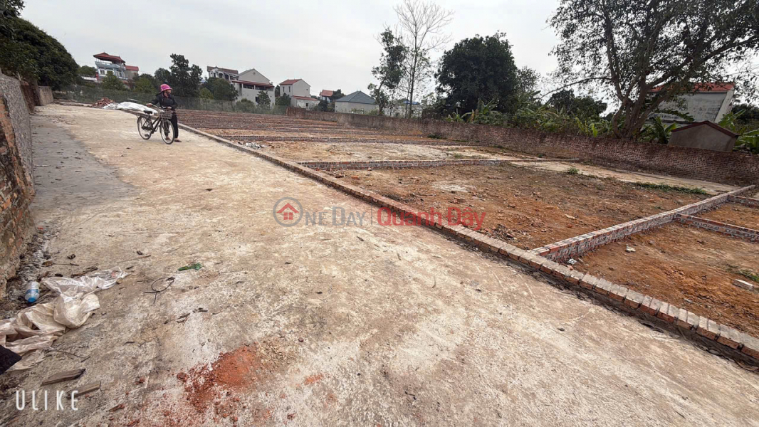 INVESTMENT PRICE FOR AREA 80 M FUN RESIDENTIAL LAND ---- THOUSANDS OF FACILITIES ---- WORTH THE MONEY - AT XUAN DONG TAN MINH SOCS SON HANOI CITY Vietnam Sales | đ 1.94 Billion