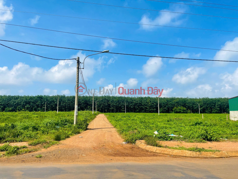 Property Search Vietnam | OneDay | Niêm yết bán Cần bán gấp 2 lô đất nền chính chủ , cạnh chung tâm hành chính mới