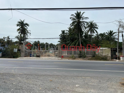 The owner needs to quickly sell a plot of land at Highway 60, Tan Thanh Binh, Mo Cay Bac, Ben Tre _0