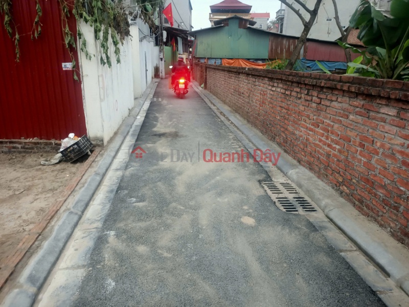 BÁN ĐẤT 54.4M2 MẠNH TÂN THỤY LÂM ĐÔNG ANH - Ô TÔ VÀO ĐẤT CHỈ NHỈNH 3 TỶ, Việt Nam | Bán | đ 3,16 tỷ