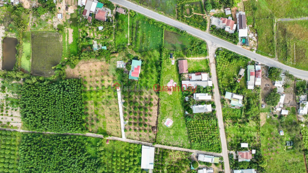 FRONTAGE OF GROUP 25, DIEN LAC - DIEN KHANH. SELLING PRICE 1.49 BILLION, Vietnam Sales đ 1.49 Billion