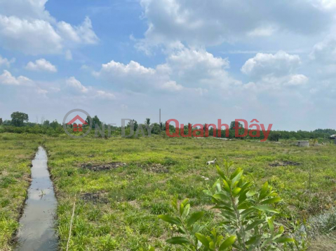 Urgent sale of land in front of DT 821 street, Loc Giang commune, Duc Hoa district, Long An province. _0