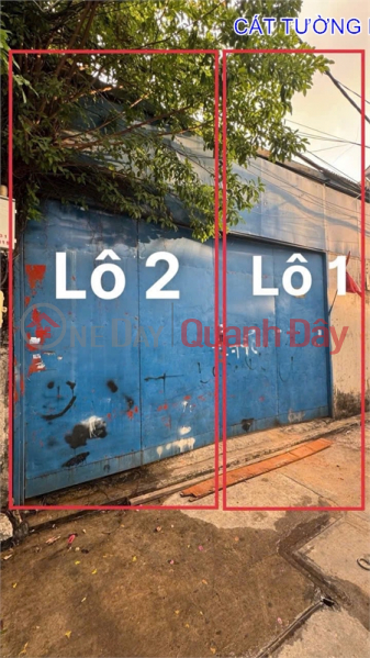 Land for sale 93m2 (6x15.5m),Thach Lam street, Tan Phu - Price only 7.1 billion, Vietnam | Sales đ 7.1 Billion