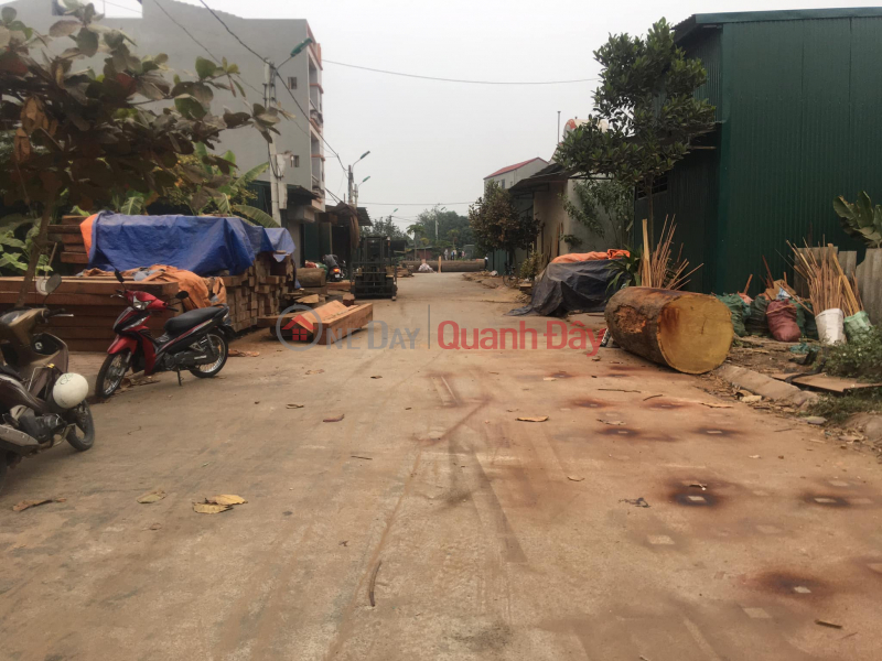 Property Search Vietnam | OneDay | Nhà ở Niêm yết bán Bán đất đấu giá X1 Lỗ Khê Liên Hà Đông Anh