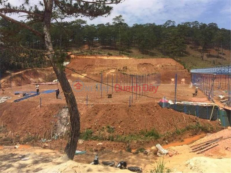 BEAUTIFUL LAND - GOOD PRICE - Land Lot For Sale In MangLin, Ward 7, Da Lat City, Lam Dong Sales Listings