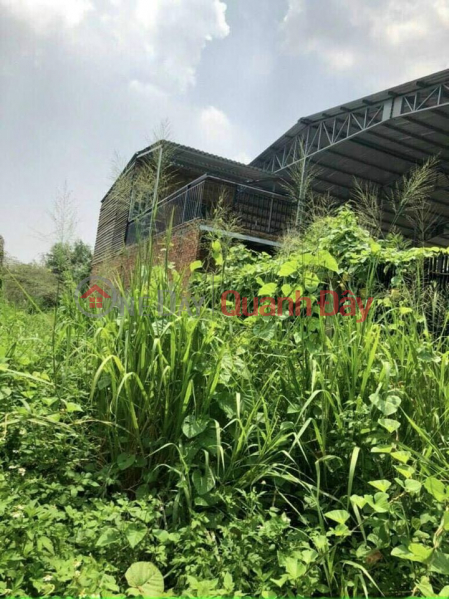 Selling land plot with handwritten paper , clear origin .View song cool Suitable for home garden, factory warehouse, Vietnam, Sales | ₫ 2.5 Billion