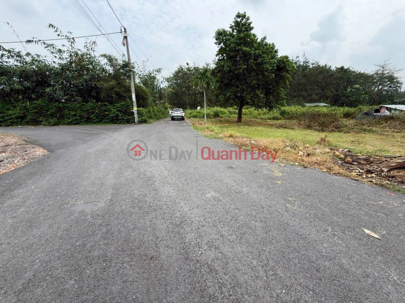 Residential land for sale, corner, 2 frontages, asphalt road No. 723, 10m wide Sales Listings