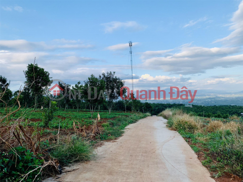 PRIME LAND - GOOD PRICE - BEAUTIFUL VEIW LAND - For Quick Sale In Tan Ha Commune, Lam Ha District, Lam Dong Province _0