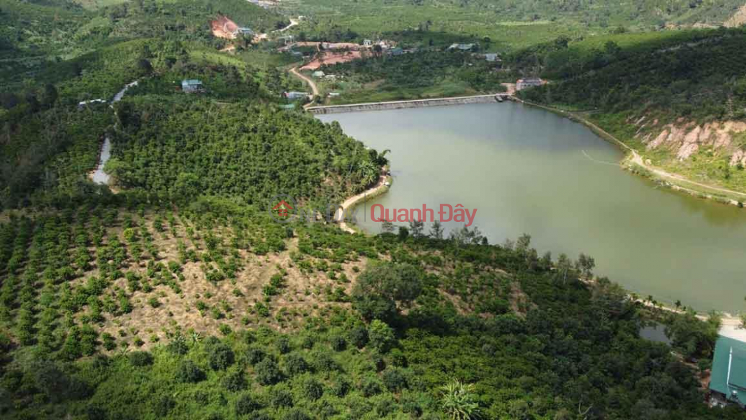 BEAUTIFUL LAND - GOOD PRICE - For Sale Land Lot Great Location In Loc Nam Commune, Bao Lam District, Lam Dong Province Sales Listings