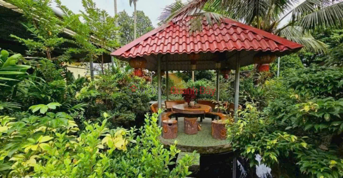 Bán nhà gỗ Mặt tiền An Hạ xã Phạm Văn Hai Bình Chánh Niêm yết bán