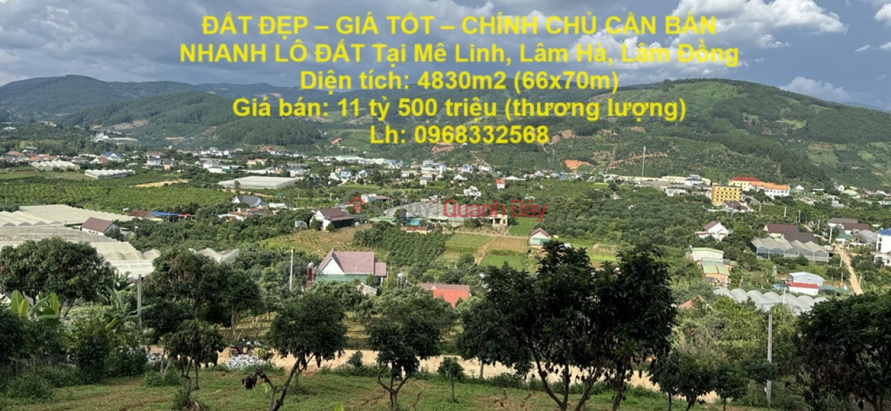 BEAUTIFUL LAND - GOOD PRICE - OWNERS NEED TO SELL LAND LOT QUICKLY IN Me Linh, Lam Ha, Lam Dong Sales Listings