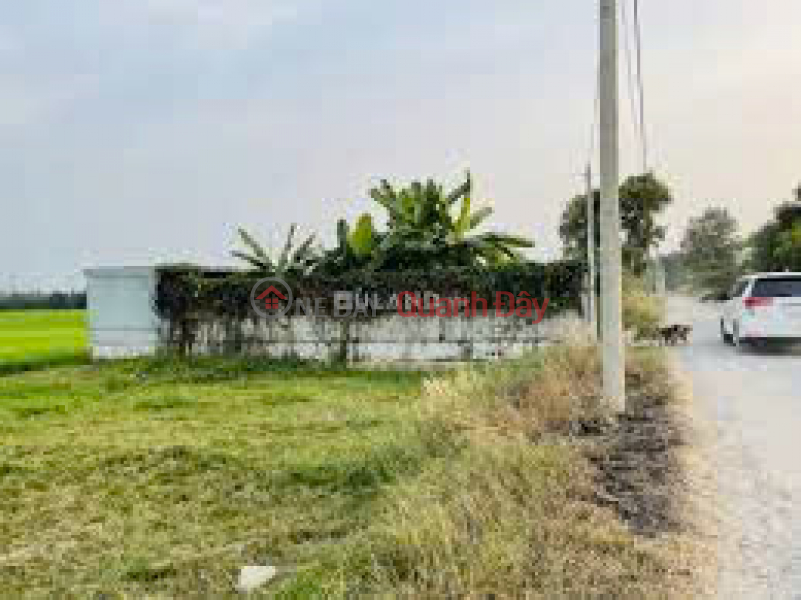 The family needs to urgently sell the entire land area and house in Lac Tanh town, Tanh Linh district, Binh Thuan province., Vietnam, Sales đ 56 Billion
