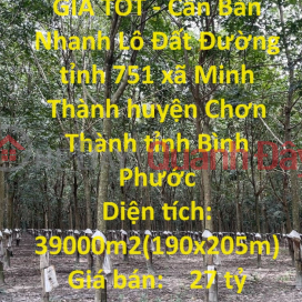 PRIMARY LAND - GOOD PRICE - For Quick Sale Land Lot with Beautiful Front Rubber Plantation Becamex Chon Thanh Industrial Park _0