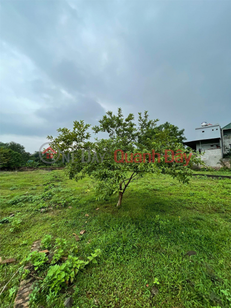 ĐẤT ĐẸP - GIÁ TỐT - Chính Chủ Bán 2190m Đất Phú Mãn, Quốc Oai, Hà Nội, Việt Nam | Bán | đ 11,6 tỷ