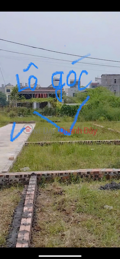 Group 9 Quang Minh, Me Linh invites investors to buy a beautiful, flawless corner lot of 60.2 m2 _0